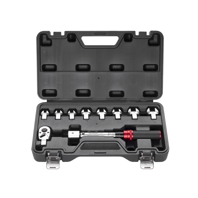 10Pcs Interchabgeable Torque Wrench Set