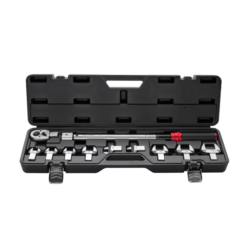 11Pcs Interchabgeable Torque Wrench Set